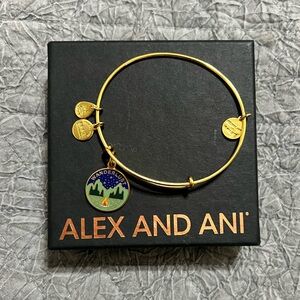 Alex and Ani Bracelet